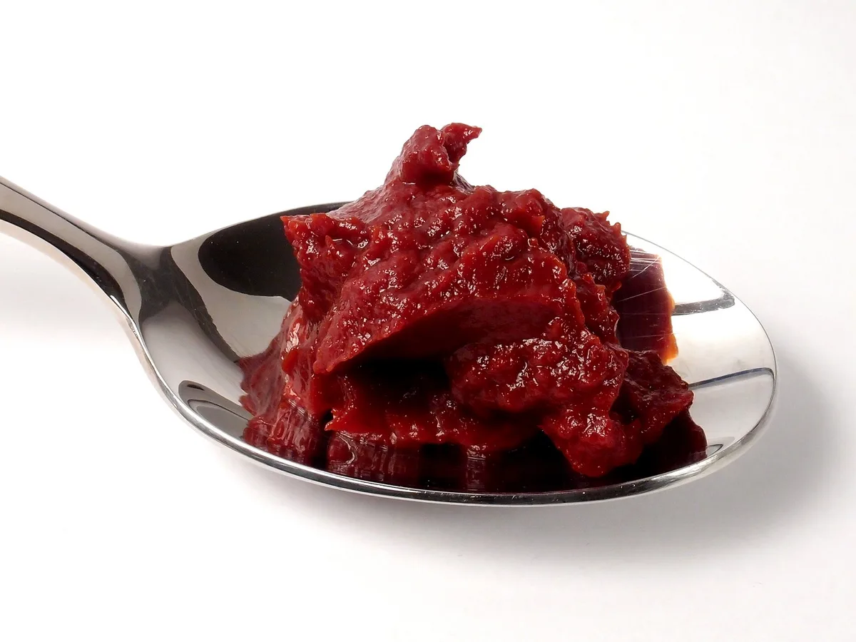 Tomato paste sample for consistency testing