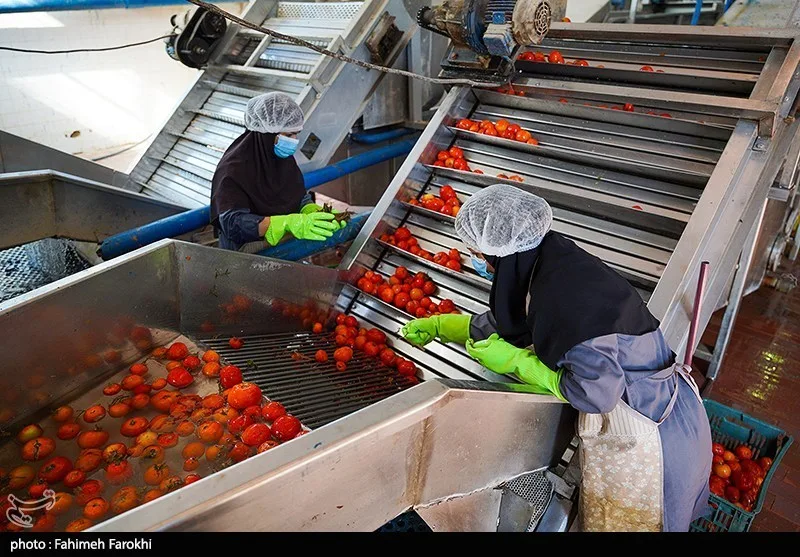 Tomato paste processing line in a food factory