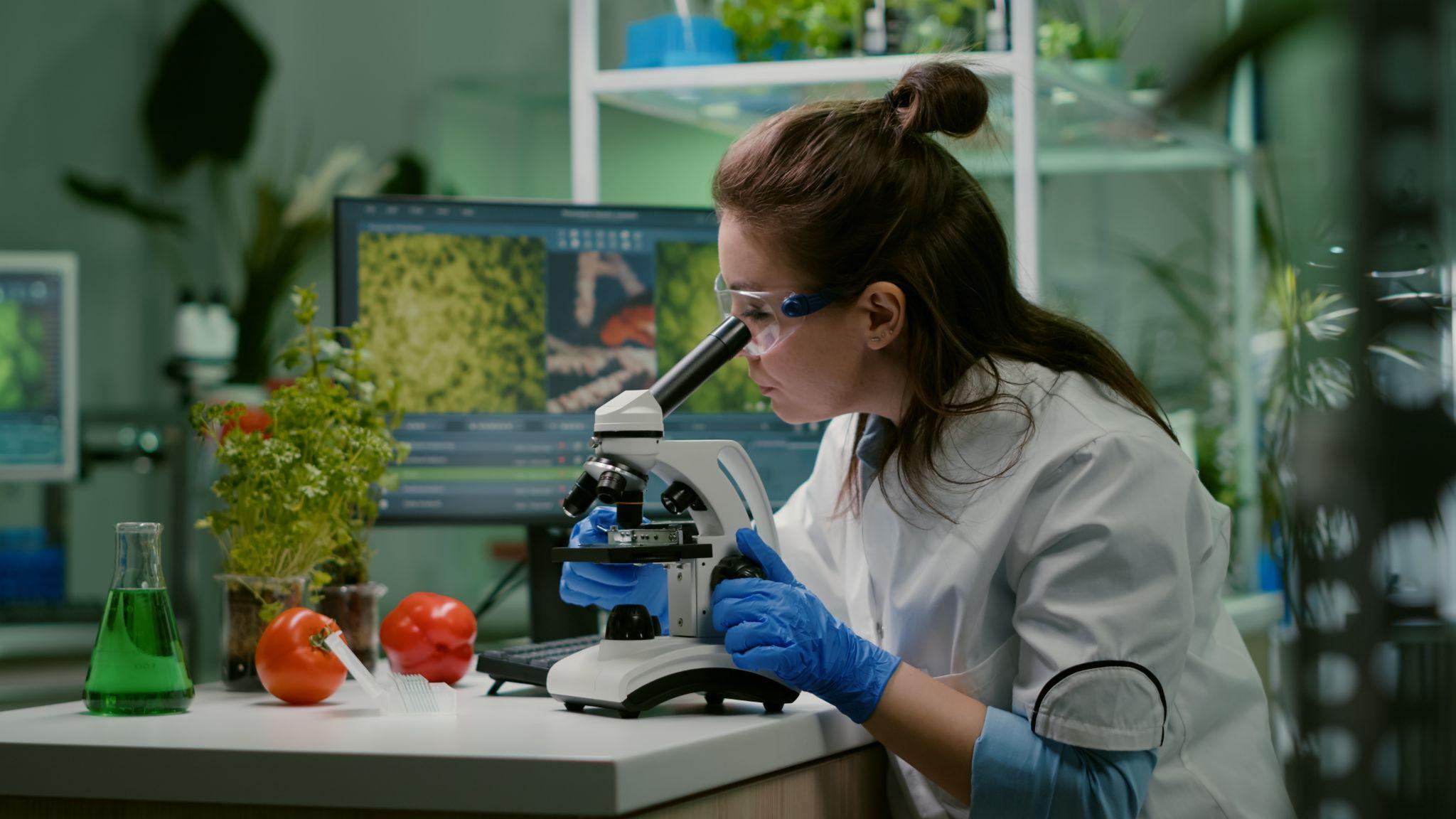 echnician using food testing equipment to analyze sample quality in a UAE laboratory